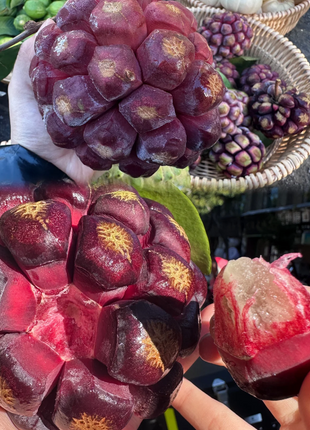 Black Tiger Seeds | Devil Fruit