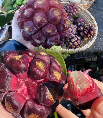 Black Tiger Seeds | Devil Fruit