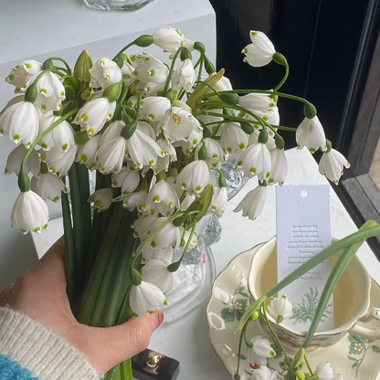 🌼Snowdrop Flower Seeds—Symbol Of Hope