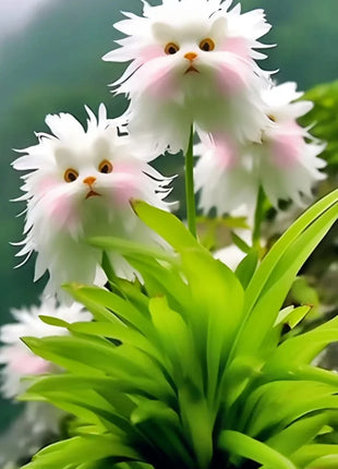 🔥🔥Group discount! Cat's eye flower