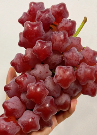 Winter Star Grape Seeds