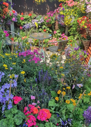 Mixed Perennial Flowers Seeds-Over 80 kinds mixed