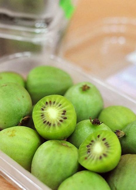 Egrow 50Pcs(100Pcs)/Bag Mini Kiwi Berry Seeds Miniature Kiwi Berry Hardy Actinidia Arguta Fruit Seeds