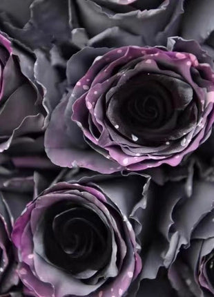 Garden of Dreams with Rare Color Varieties of Rose Seeds