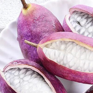 Stauntonia Latifolia Seeds-Organic Food