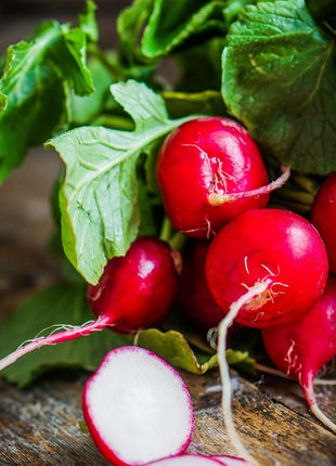 Radish Celesta F1 Organic