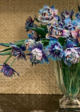 Tulipany Double Bubble