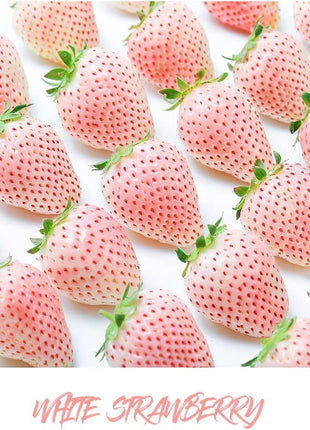 800+ Mix Strawberry Seeds for Planting - Heirloom Non-GMO Red Yellow Blue White Climbing Strawberry