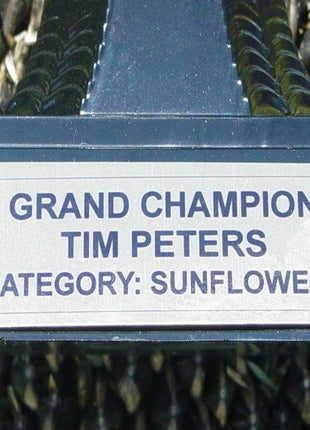 50 Pcs Mongolian Giant Sunflower Seeds