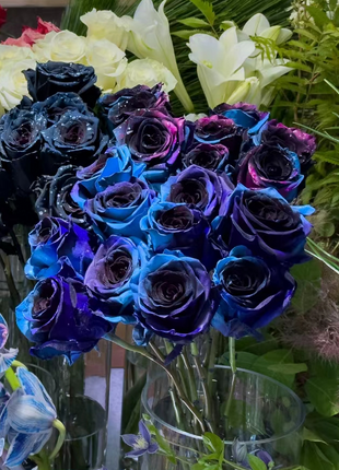 Starry Sky Roses