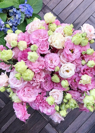 💐Lisianthus - A Sincere and Immutable Love