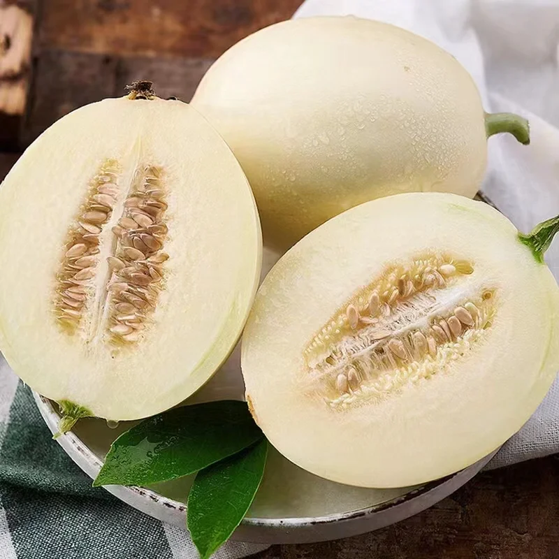 Lazy Melon Seeds