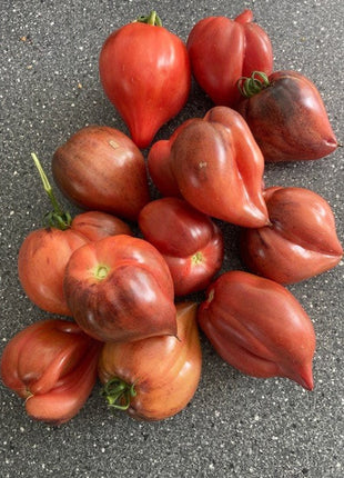 Crushed Heart Tomato Seeds  Organic Heirloom Tomatoes