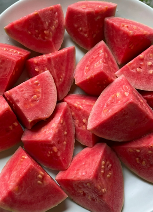 Tropical Strawberry Guava Organic Pink Guava Seeds