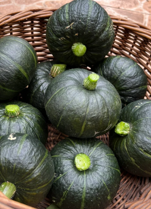 🎃Kabocha Pumpkin Seeds