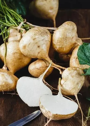 Jicama Pachyrhizus Erosus Seeds