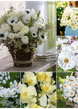 Cloud 9 - White Flower Seed Mix