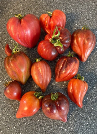 Crushed Heart Tomato Seeds  Organic Heirloom Tomatoes