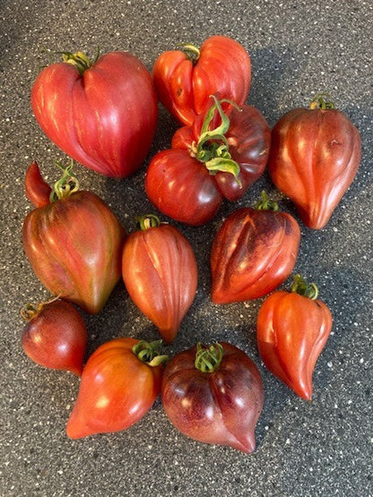 Crushed Heart Tomato Seeds  Organic Heirloom Tomatoes