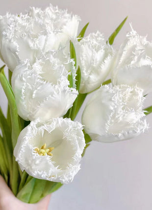 Bonsai Rare Color Tulip Seeds