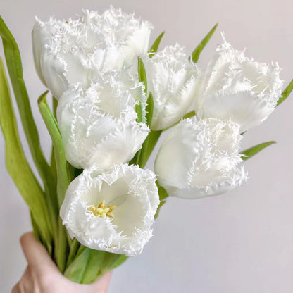 Bonsai Rare Color Tulip Seeds