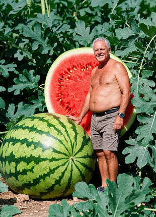 Giant Watermelons Seeds