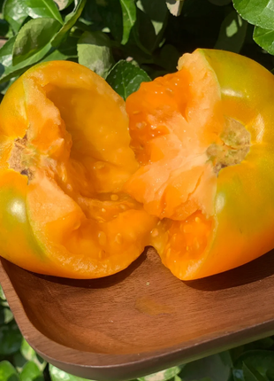 Yellow Persimmon Seeds