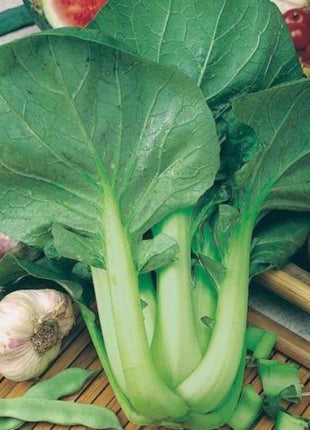 All year round 200pcs Chinese cabbage seeds