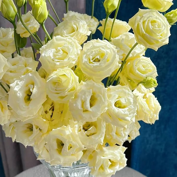 🌺Lisianthus – Sincere Love