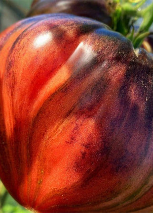 CRUSHED HEART Tomato - Organic Heirloom Seeds