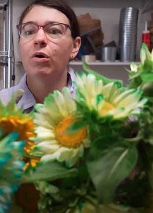 Green Lace Sunflower Seeds