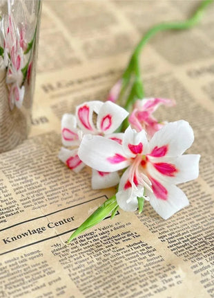 Cat's Claw Gladiolus 🩷 pink and cute