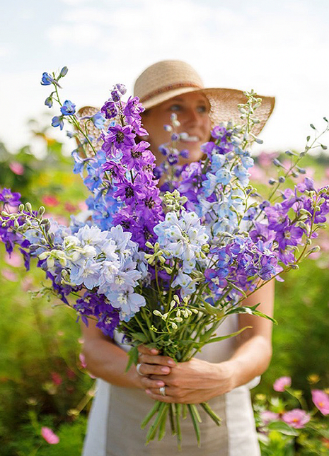 🌼Big Flower Delphinium Seeds