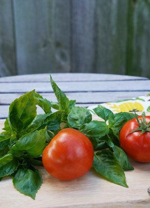 Garden Treasure Tomatoes