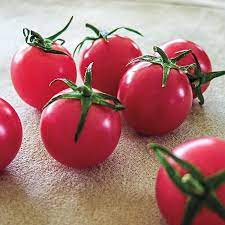 Tomato Cherry Pink Grape