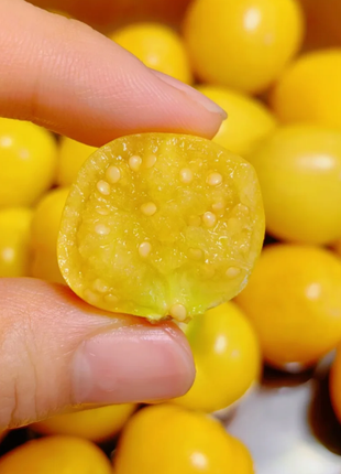 🍒Golden Berry Seeds Lantern Fruit Seeds—Golden Fruit