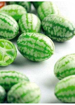 RARE SEEDS THUMB WATERMELON SEEDS