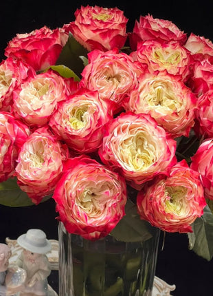 Rare Multi-color Roses-Apple Jack Seeds