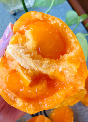 Yellow Persimmon Seeds