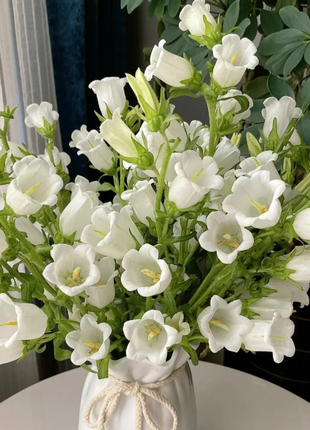 🔔Bellflower Seeds—Lucky Flower