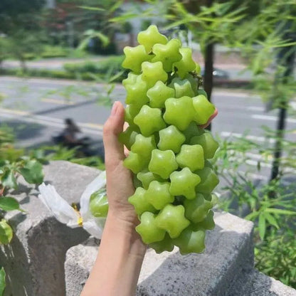 Winter Star Grape Seeds