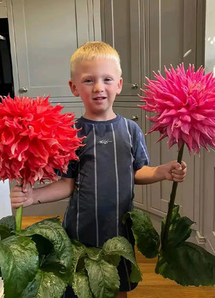 Mixed Giant Dahlia Seeds