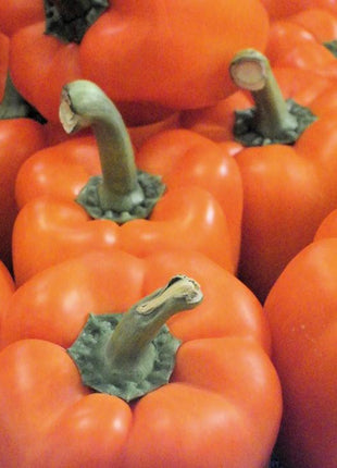 Pepper Milena F1 Organic