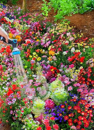 Mixed Perennial Flowers Seeds-Over 60 kinds mixed