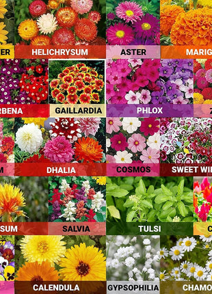 Country Garden Flower Mixed Seeds for Planting