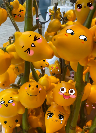 Golden Fruit Seeds 💛Five Generations Of Fruits💛