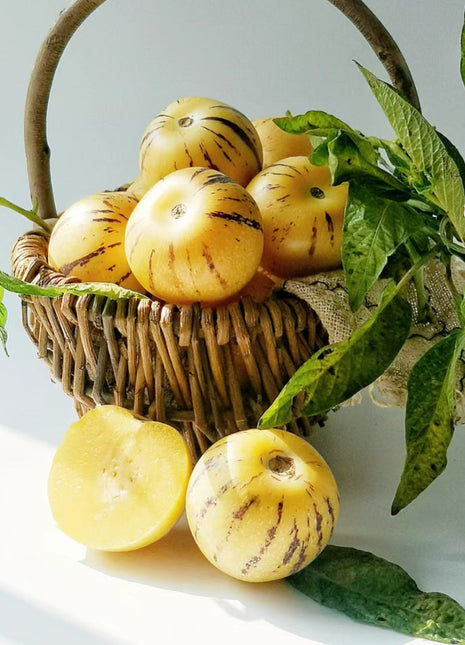 Solanum Muricatum Melon Pear Seeds