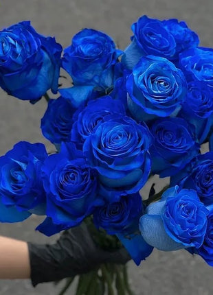 Beautiful Mini Rose Seeds, 100pcs/pack