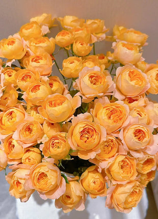 Potted Four Seasons Rose Juice Balcony