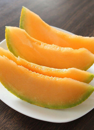 Melon Divergent F1 Organic